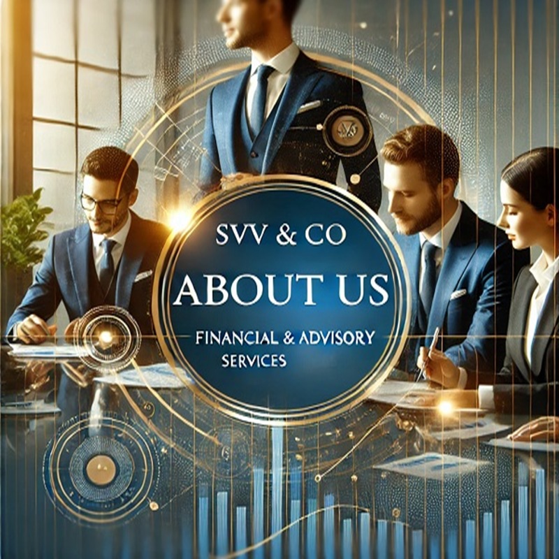 SVV & Co professional team collaborating in office